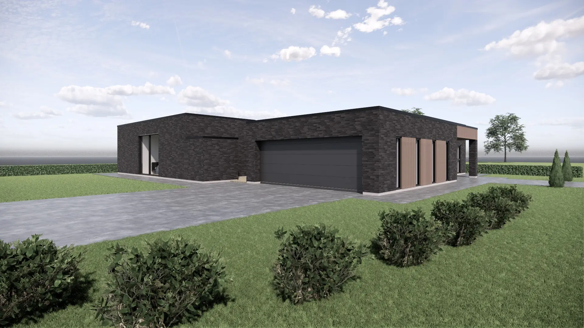 1006 illustreret tegning